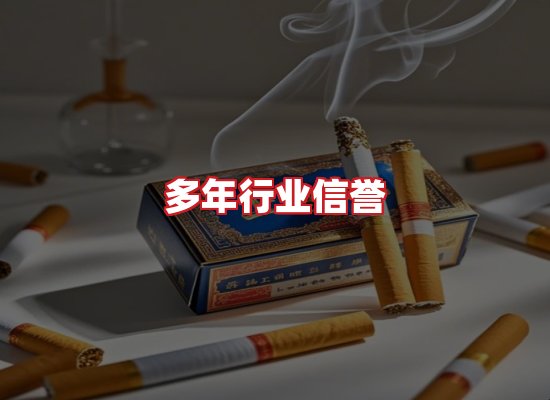 专业团队